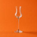 Connoisseur Glass (6 Pcs)