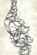 Versailles-Y4 Collection | Code: 4103