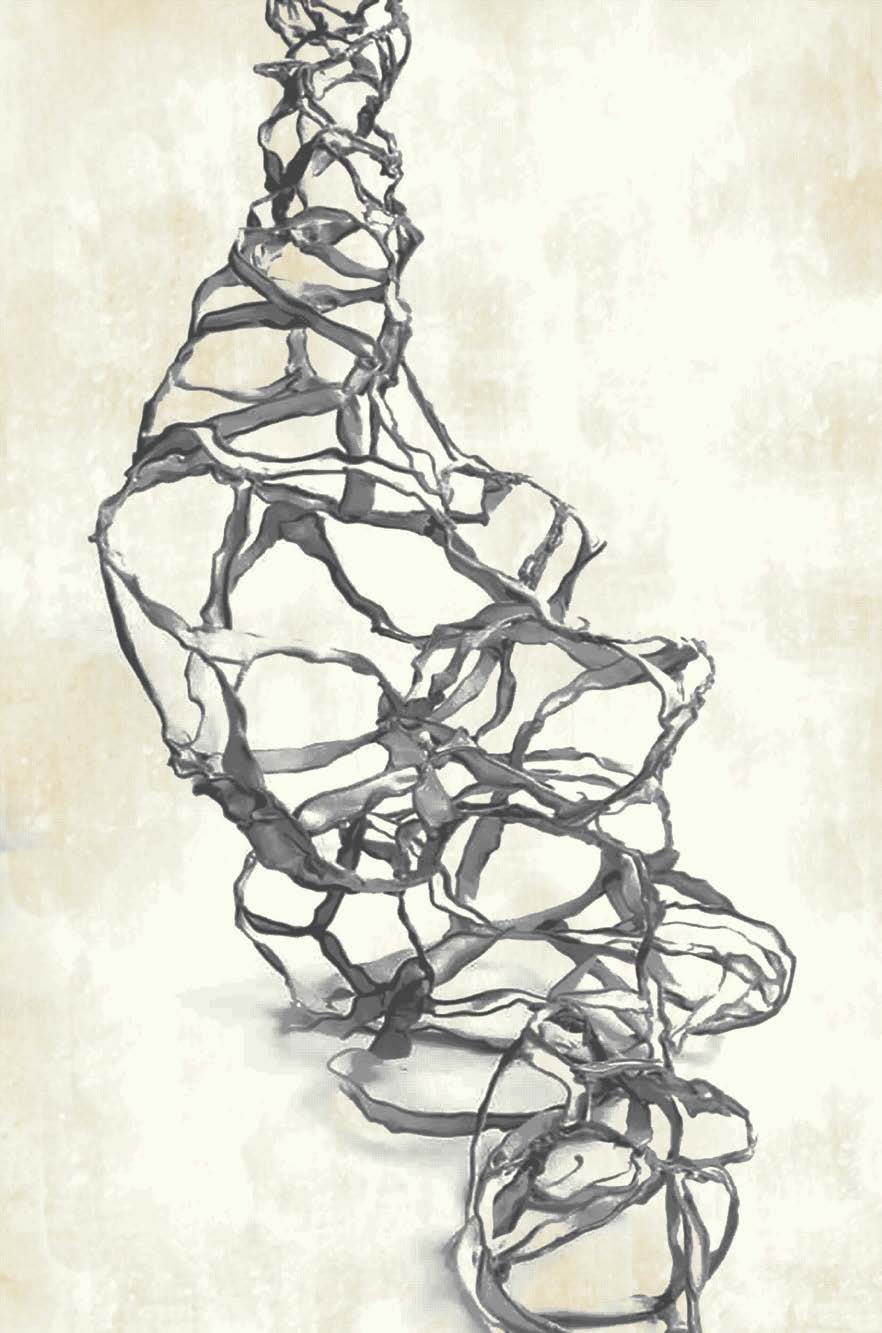 Versailles-Y4 Collection | Code: 4103