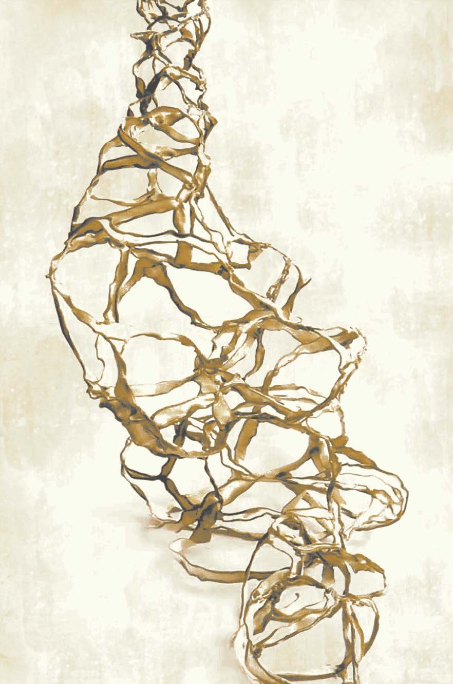 Versailles-Y4 Collection | Code: 4104
