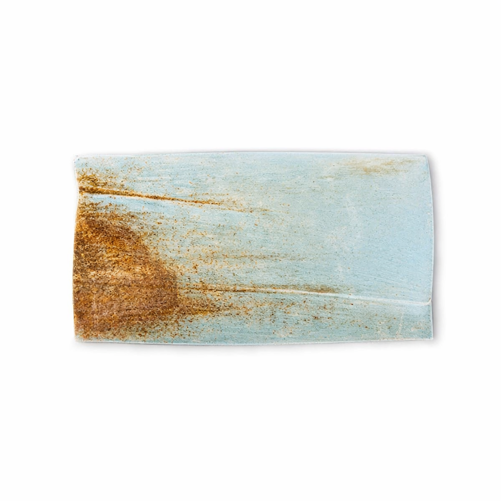 Rectangular Plate Coral