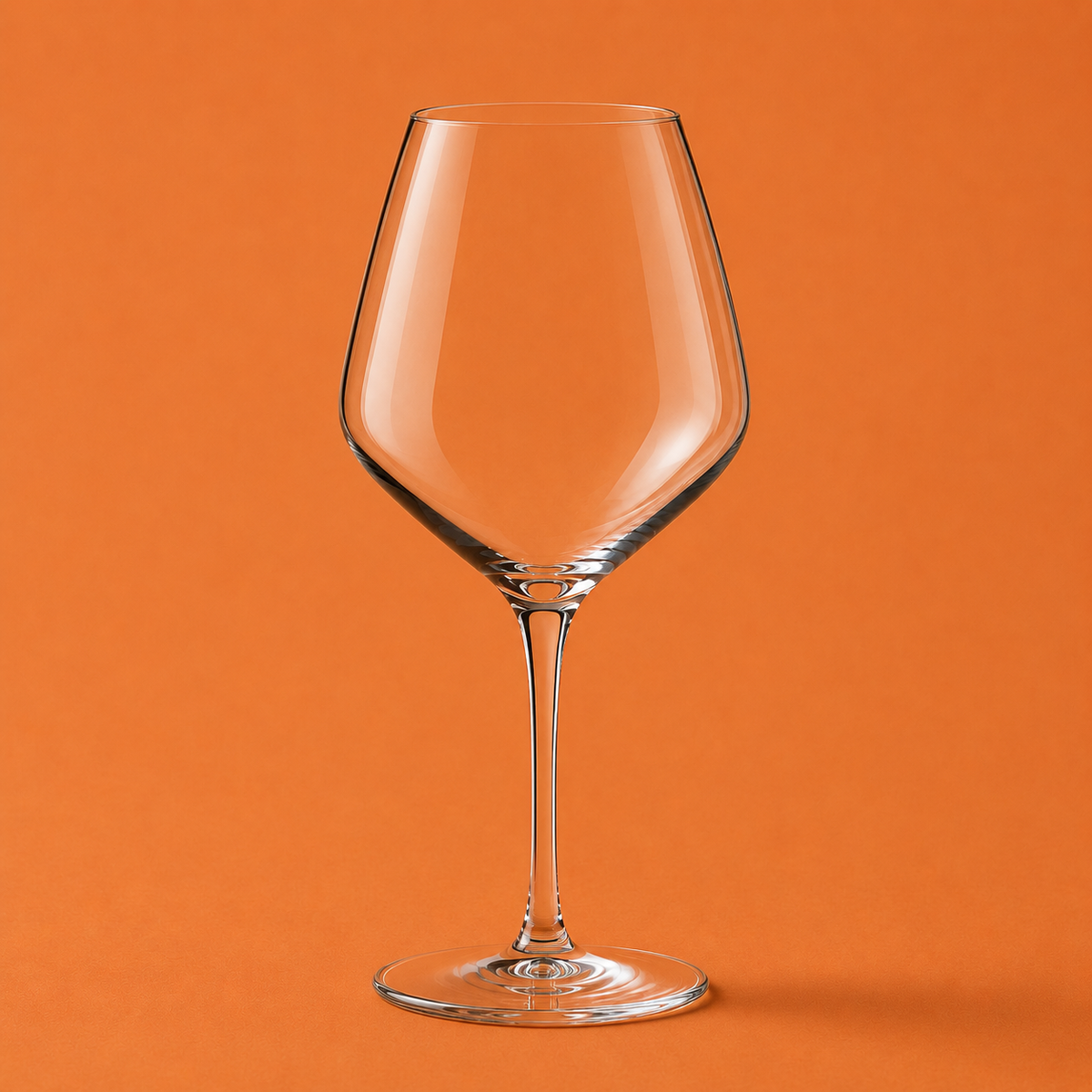 Atelier Pinot Noir (12 Pcs)