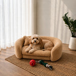 A small fluffy dog lies on a round tan pet sofa in a bright room with sheer curtains, a potted plant, wood floor, and a woven rug. A red ball toy and a rope toy sit on the rug in front of the sofa. 