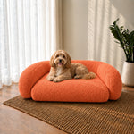 A small tan dog lies on a rounded, low-profile orange boucle pet bed placed on a woven brown rug in a bright room with sheer curtains, a potted plant, and sunlight streaming across the wall.