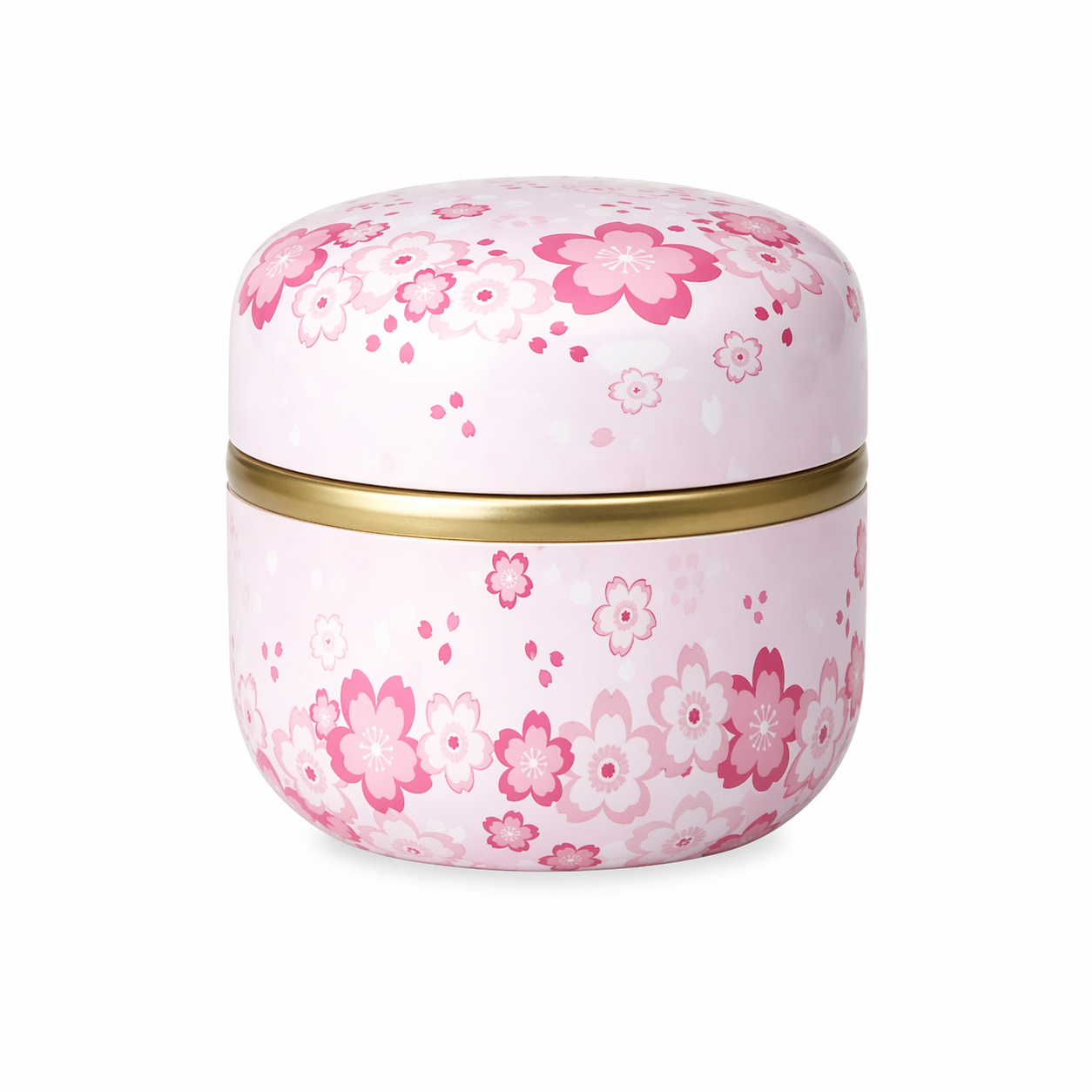 Airtight Mini Tin Tea & Spice Storage Canister