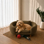 A small fluffy dog lies on a round upholstered pet chair in a bright room with sheer curtains, a potted plant, and a woven rug. The chair is a muted olive-brown color with wooden legs, and a red ball and rope toy sit on the floor nearby.