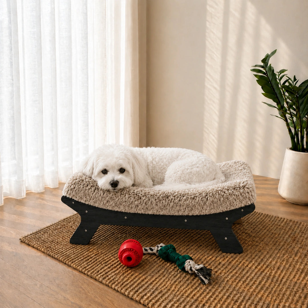 Hammock Pet Lounge