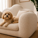 A small cream-colored dog lies on a plush, cloud-shaped armchair upholstered in a textured boucle fabric. The chair is set in a cozy, softly lit room with a neutral beige wall, a potted plant, and a woven rug.